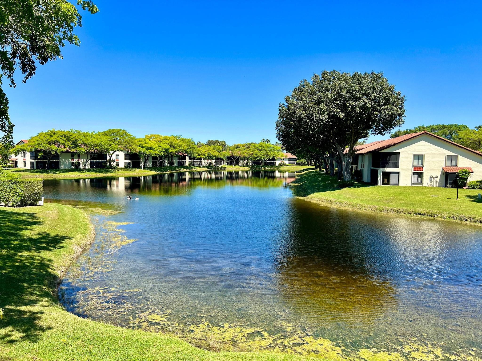 PALM CHASE CONDO - Residential