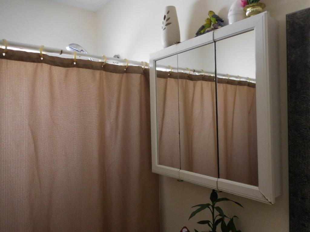 NORTH LAKE WORTH - Residential Income