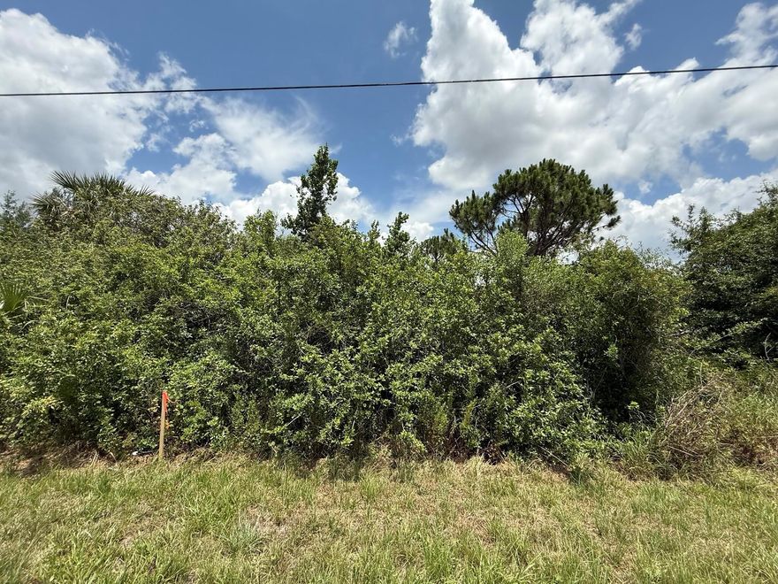 Owner financing available! Don't miss the chance to own this beautiful 0.25-acre lot, ideal for building your dream home. With no HOA or deed restrictions and not located in a flood zone, this property is conveniently situated near US 41 and I-75. It offers close proximity to schools, shopping, dining, hospitals, beaches, and golf courses, making it an ideally located property. Plus, it's just a short drive to stunning beaches! FOR DIRECTIONAL PURPOSES PLEASE USE 2252 Snug a lots over.