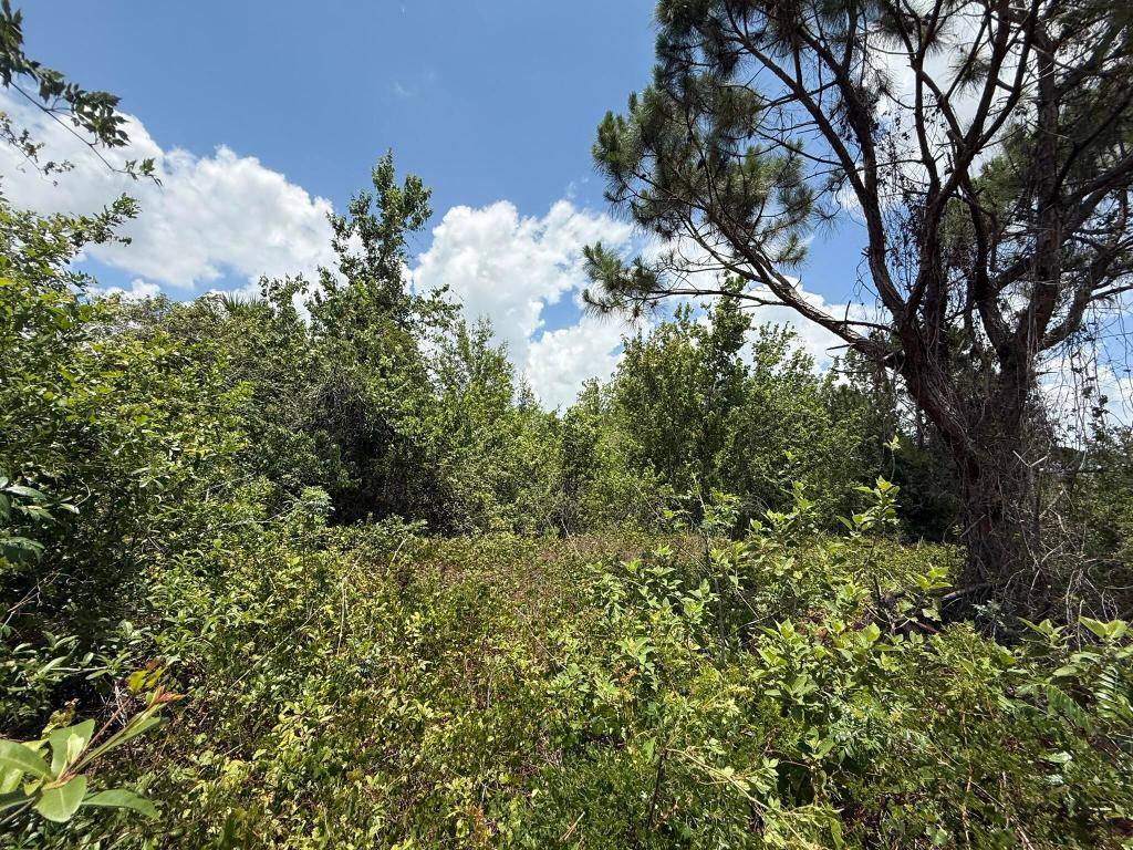 PORT CHARLOTTE SUB 25 - Land