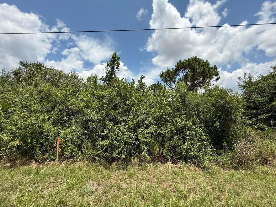 Owner financing available! Don't miss the chance to own this beautiful 0.25-acre lot, ideal for building your dream home. With no HOA or deed restrictions and not located in a flood zone, this property is conveniently situated near US 41 and I-75. It offers close proximity to schools, shopping, dining, hospitals, beaches, and golf courses, making it an ideally located property. Plus, it's just a short drive to stunning beaches! FOR DIRECTIONAL PURPOSES PLEASE USE 2252 Snug a lots over.