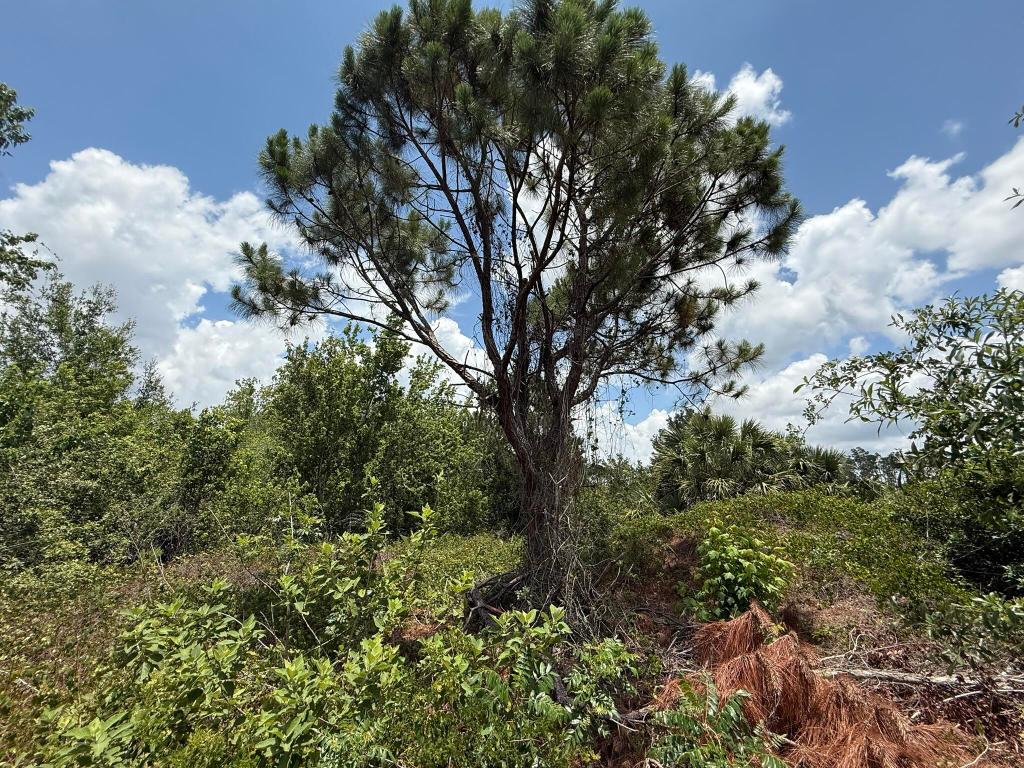 PORT CHARLOTTE SUB 25 - Land