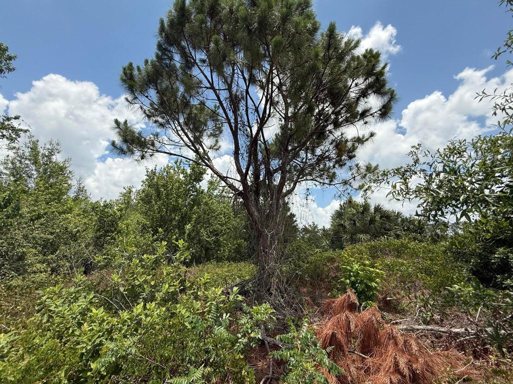 PORT CHARLOTTE SUB 25 - Land