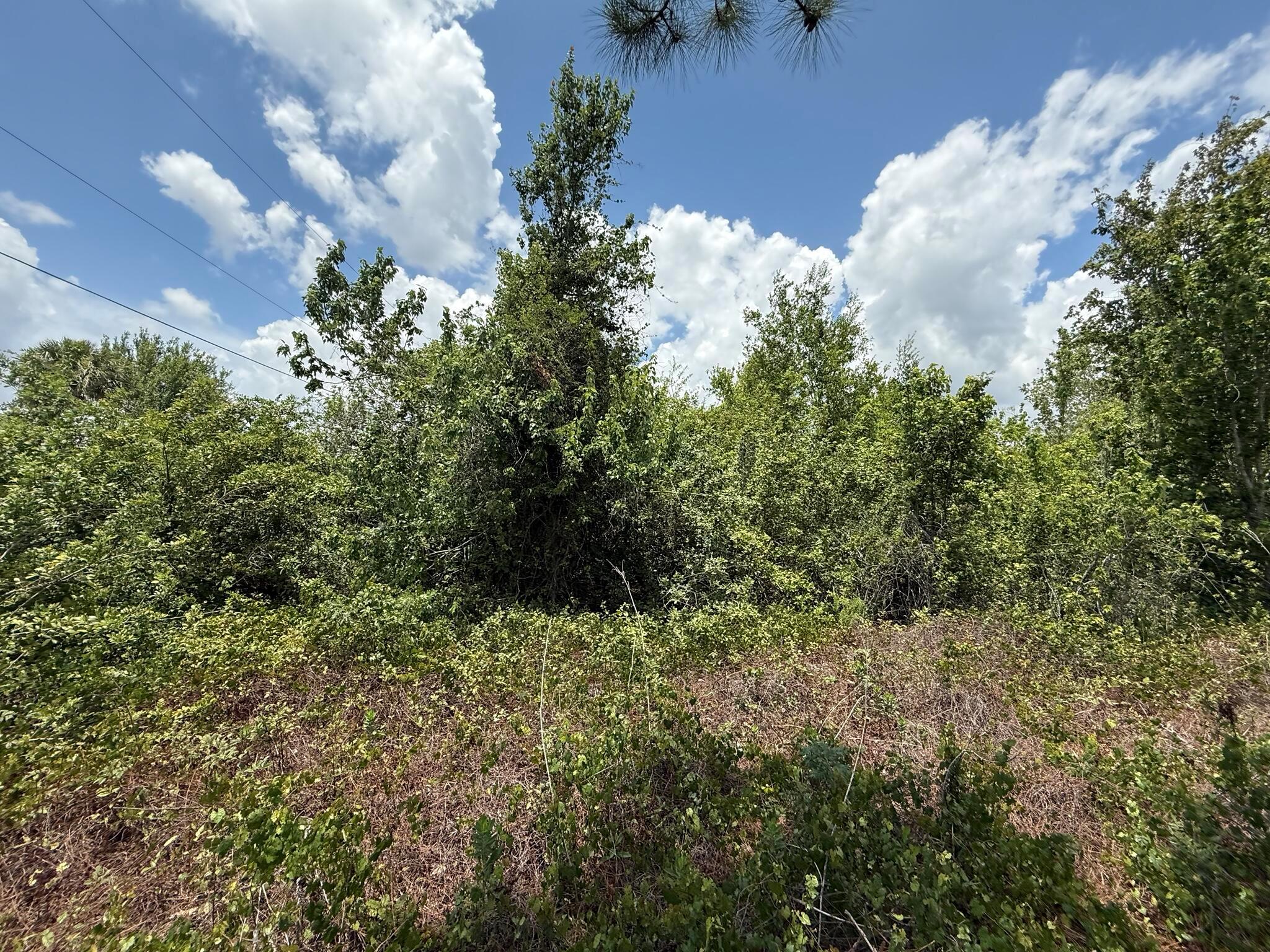 PORT CHARLOTTE SUB 25 - Land