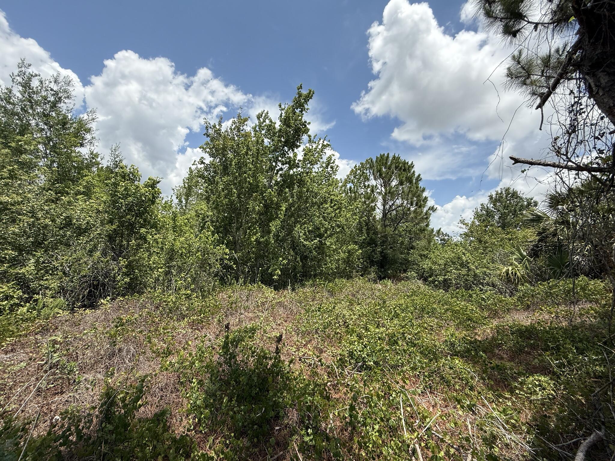 PORT CHARLOTTE SUB 25 - Land