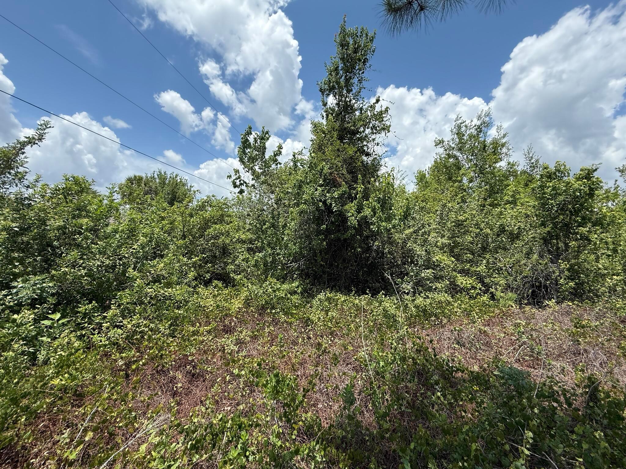 PORT CHARLOTTE SUB 25 - Land