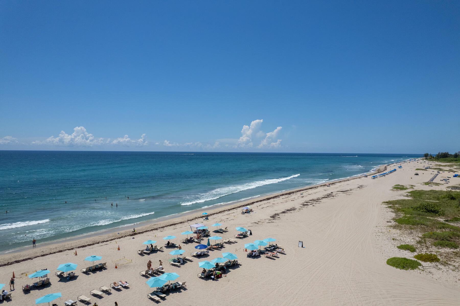 OCEANTREE CONDO - Residential Lease