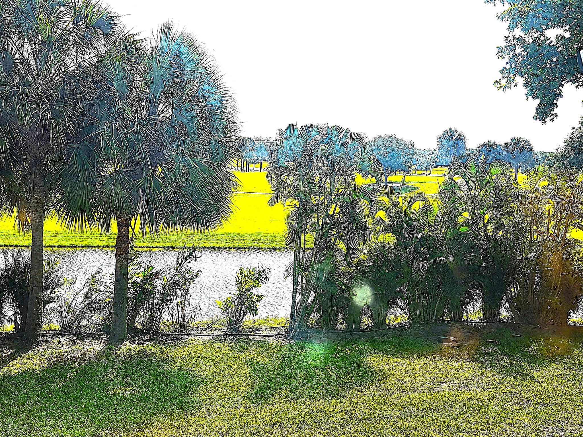 LANDS OF THE PRESIDENT CO - Residential