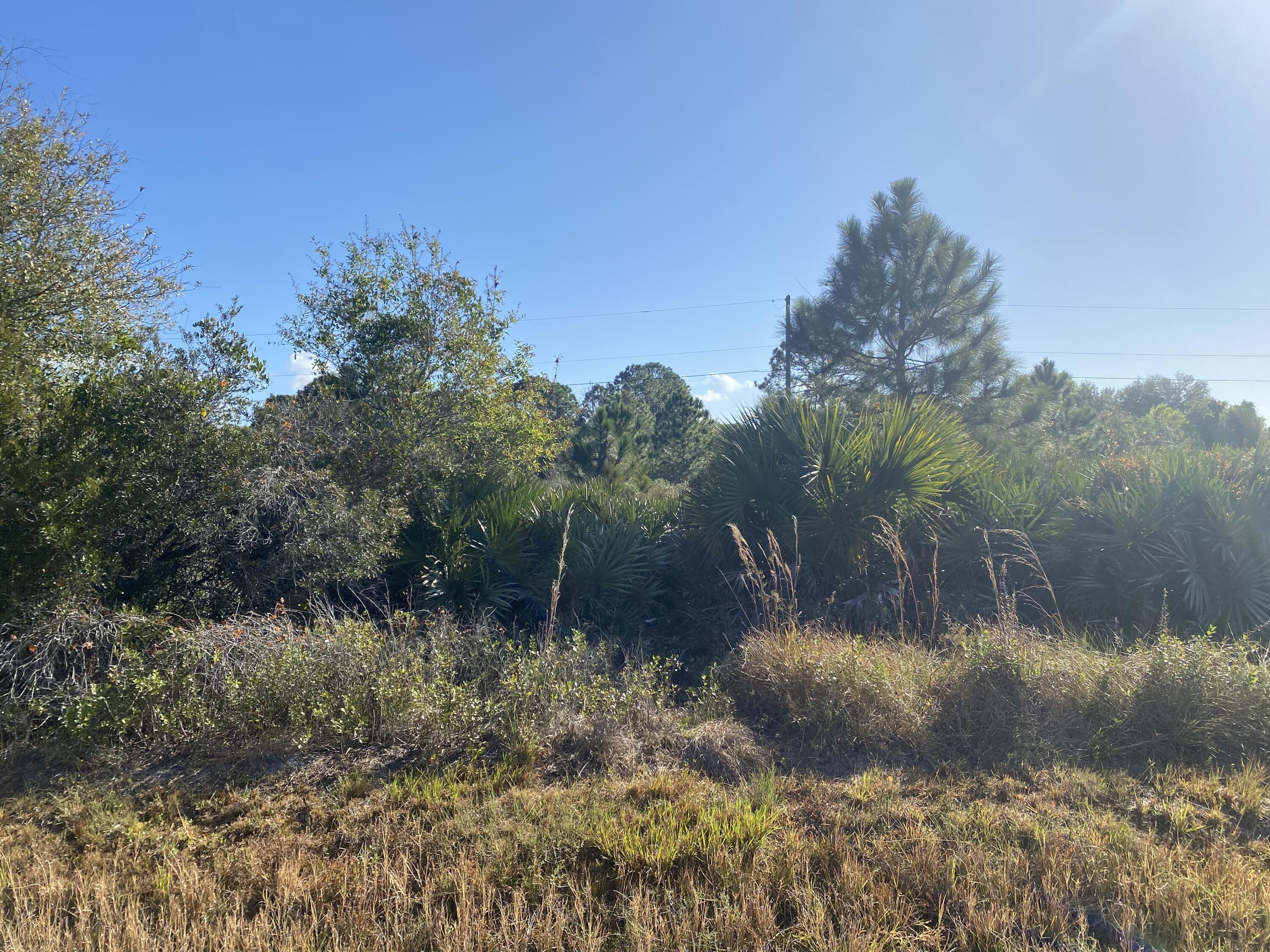 Basswood LOT Build your new home or just hold it for the future. beautiful Basswood Estates 35-acre located on a paved, road, in a homes only, NON-HOA community that features sidewalk & cross walk infrastructure, school bus route stops, & FPL electricity available. Conveniently located near schools, college, hospital, airport, and convenience stores. Just minutes from downtown City of Okeechobee. lots of new construction! in this area