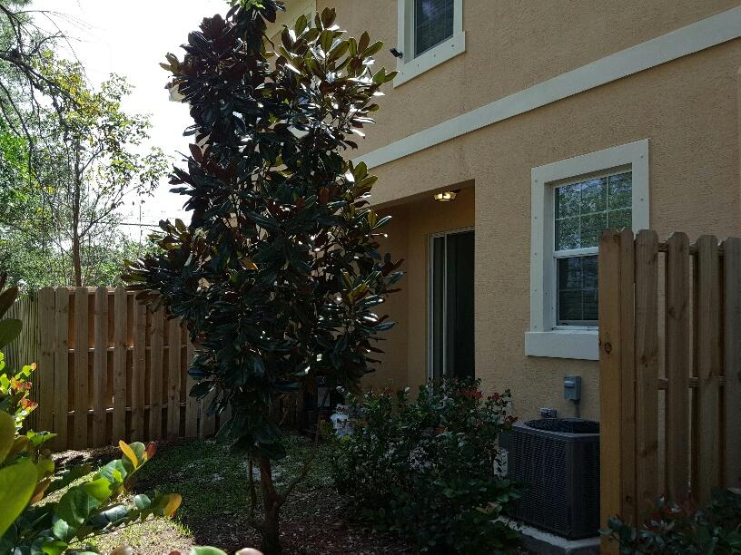 CHARLESTON COMMONS - Residential