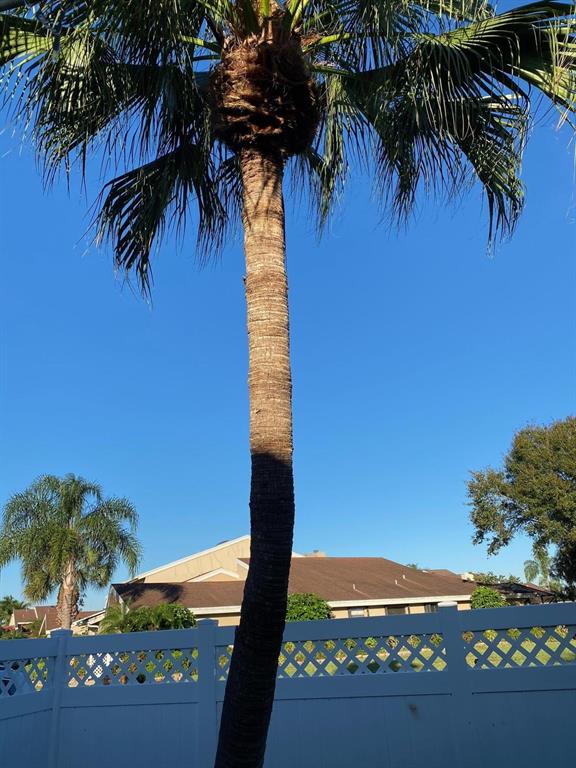 Spacious 3 bedroom/2 bath villa in Canary Palm. This home features eat-in kitchen with floor to ceiling windows, soaring ceilings with skylight - oh so light and bright!! This home is tiled throughout, has a newer AC unit, private screened patio, private courtyard entry and a one car garage. Fantastic location with great school zone - Verde Elementary and Boca Raton Middle and High schools.