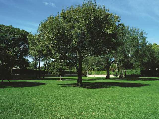 NEW RIVER BANKS - Residential