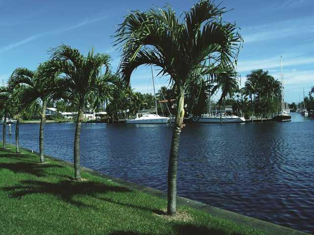 NEW RIVER BANKS - Residential