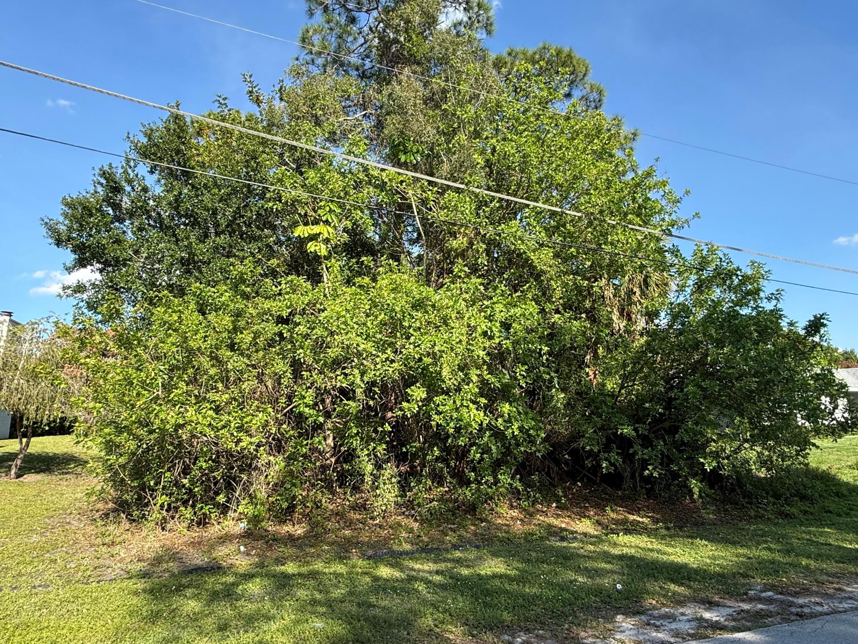 SOUTH PORT ST LUCIE UNIT 5 - Land