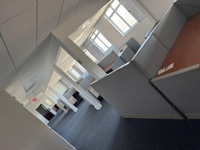 - Commercial Lease