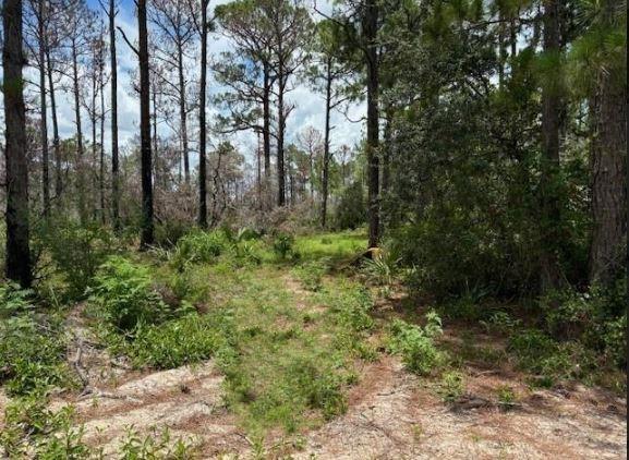 Sun n Lakes building lot with owner financing. Adjacent property available making this property 1/2 acre if both are purchased. Only $1,000 down with owner financing!!