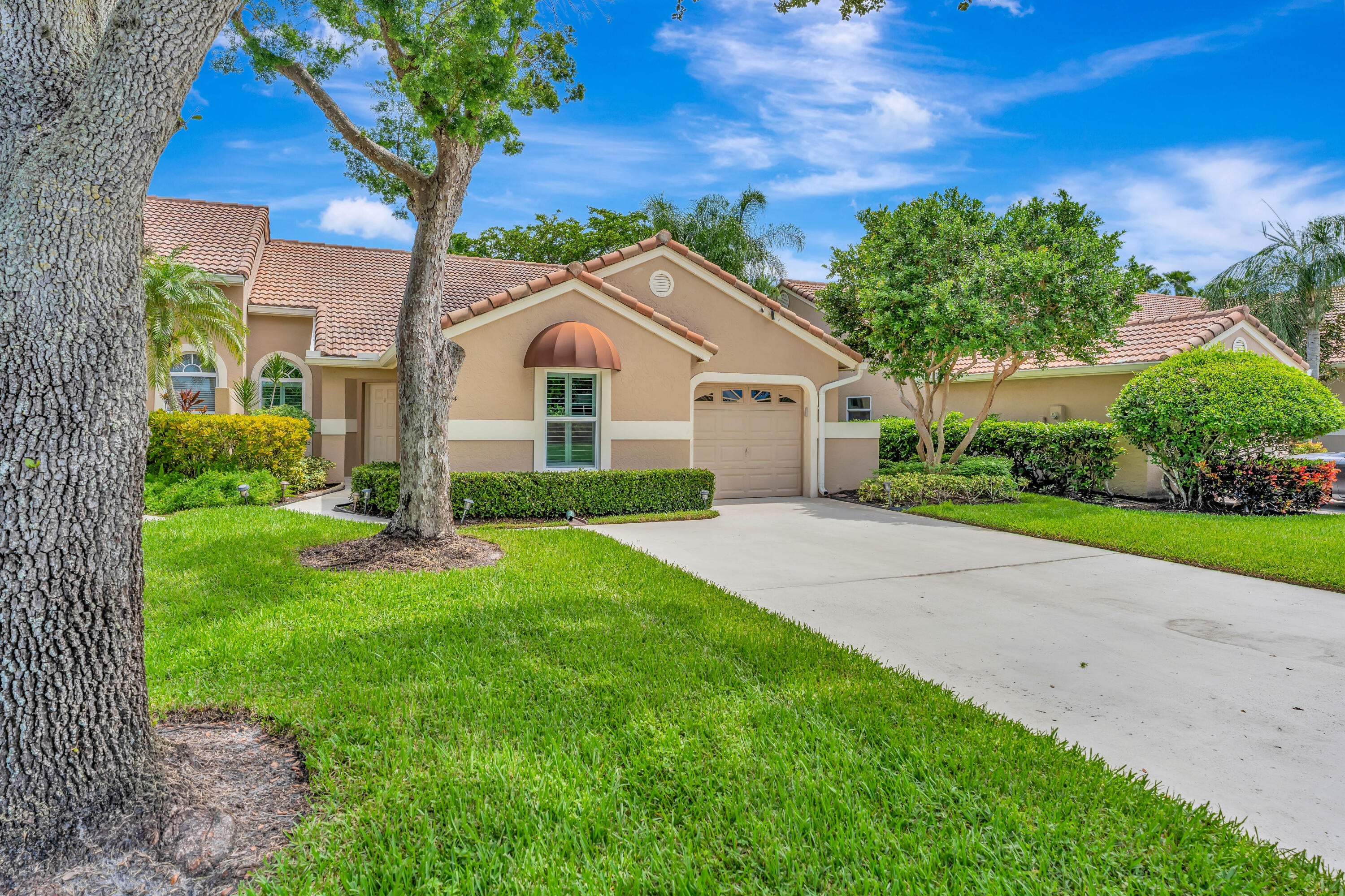 204 Sabal Palm Lane