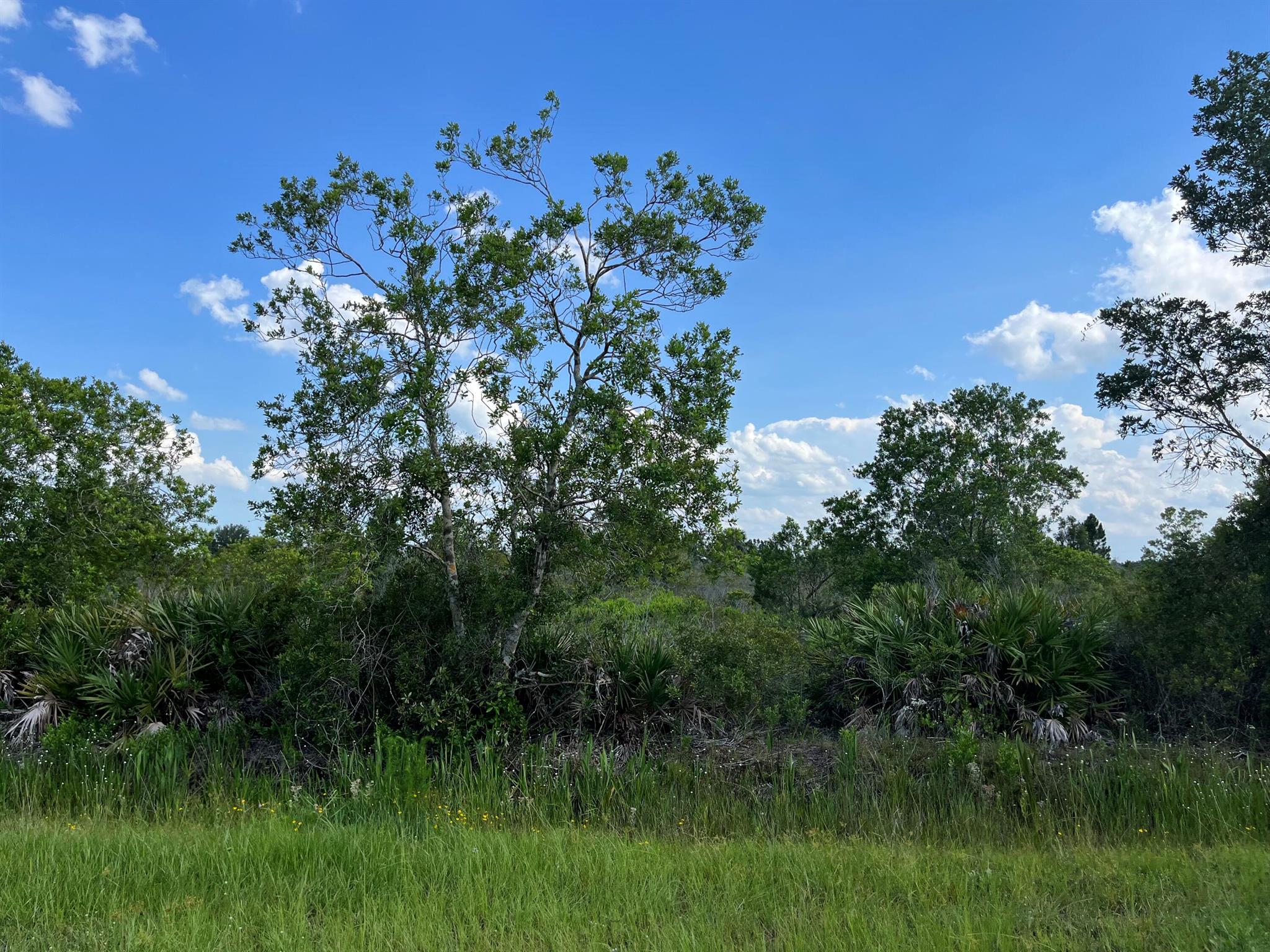 Owner Financing Available .....Build or bring your dream home and barn on this beautiful private high and dry 1.25 acre. There is so much to enjoy in Okeechobee County. The Kissimmee River Preserve State Park West of this area as well is the Kissimmee River. The Kissimmee River flows into Lake Okeechobee and is well known for some of the best fishing. whether you like Fishing, hunting, mudding agriculture or just privacy here you have it all.