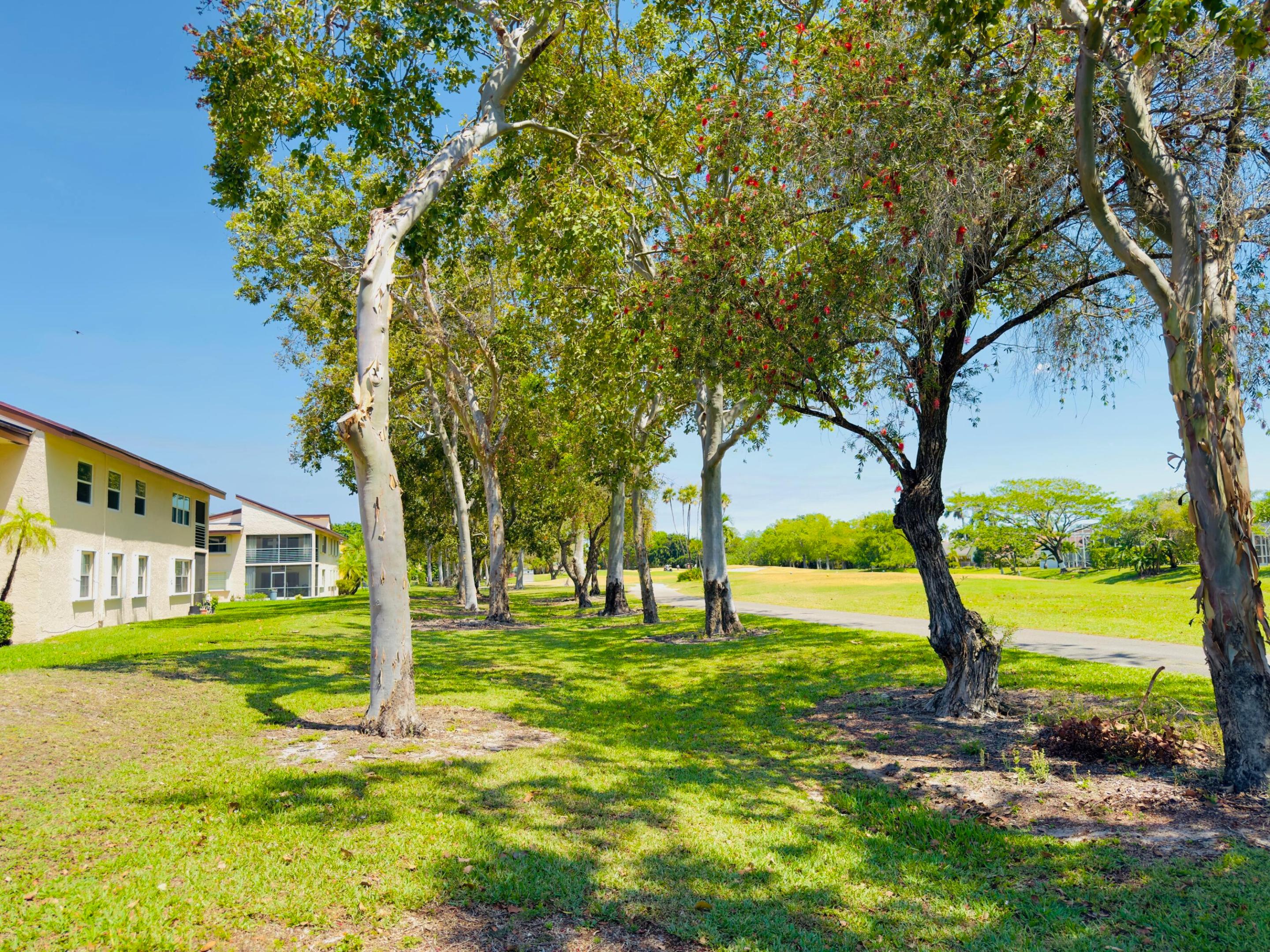 CYPRESS AT WOODMONT II - Residential