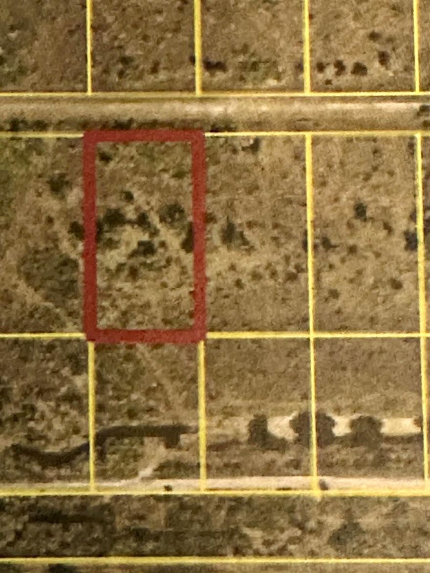 VICKING LOT-1.25 ACRESNO HOA, BRING THE ANIMALS AND THE TOYS. SERENE FLORIDA LIVING.