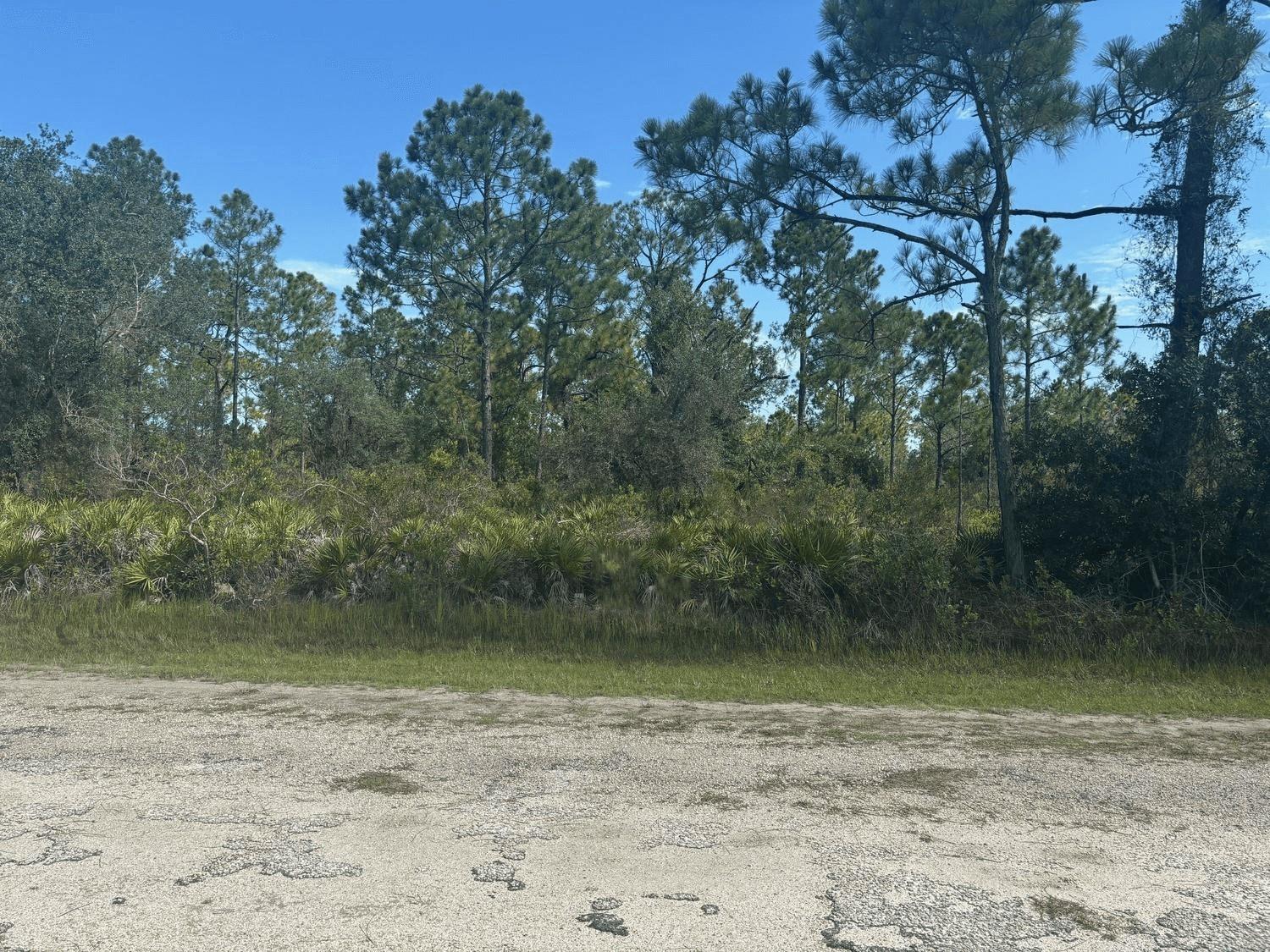 Nice trees on this Indian Lake Estate building lot. Only $2,500 down with our owner financing.
HOA only $345 a year