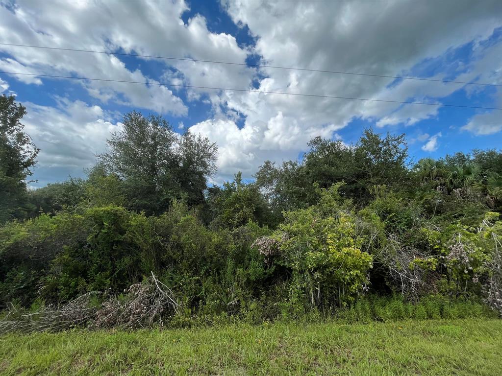 Build or bring your dream home and barn on this beautiful and private high and dry 1.25 acre just off the main paved road. There are power poles on this street making it easy to get power to your new home. there is so much to enjoy in Okeechobee County. Come to The Kissimmee River Preserve State Park West of this area as well is the Kissimmee River. The Kissimmee River flows into Lake Okeechobee and is well known for some of the best fishing. whether you like Fishing, hunting, mudding agriculture or just privacy here you have it all. Owner Financing available