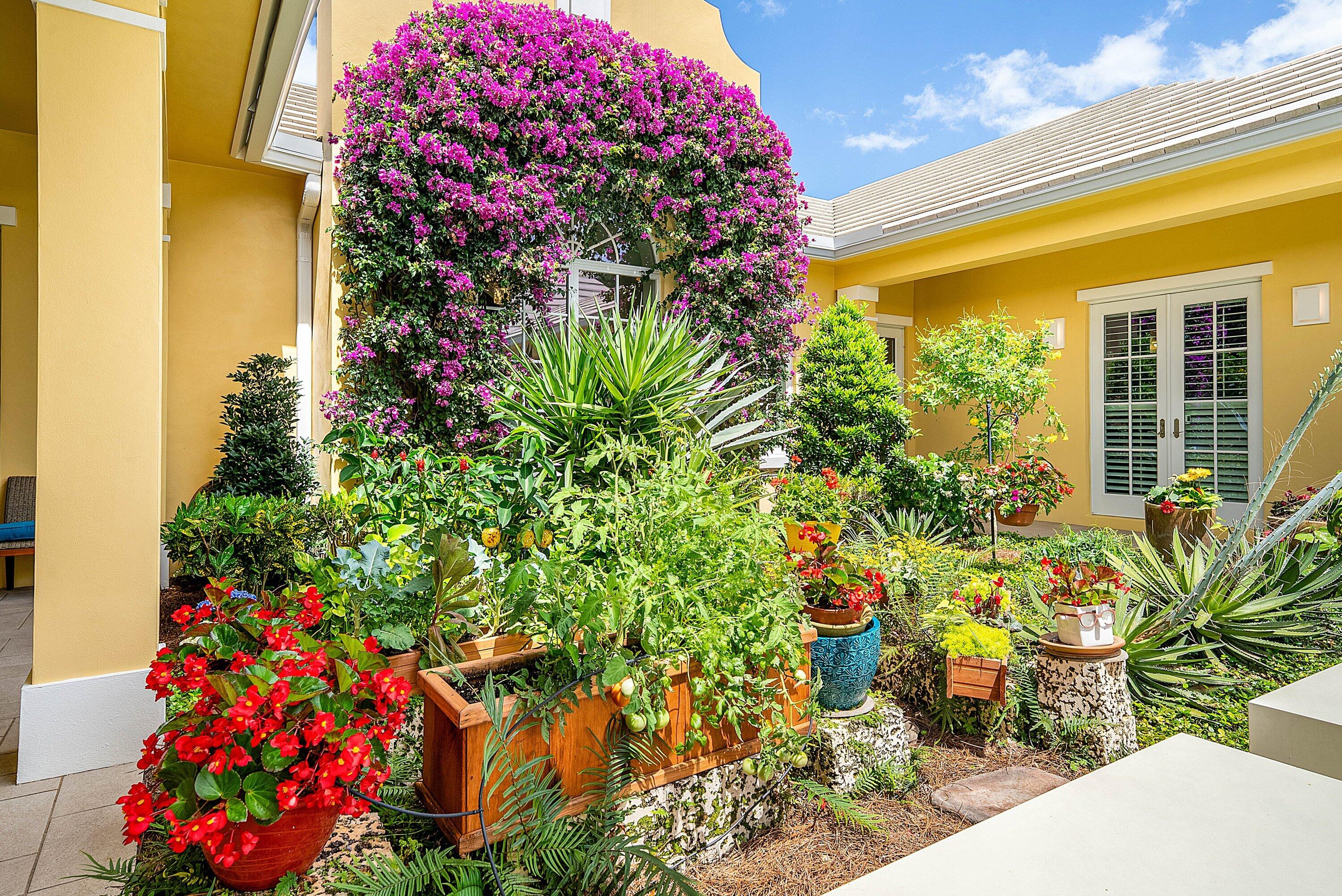 PINE TREE GOLF CLUB - Residential