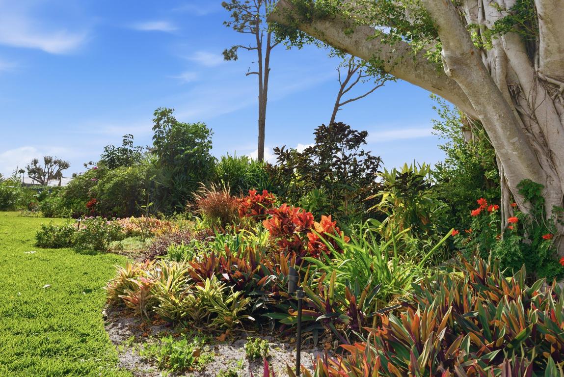 MARINER SANDS COUNTRY CLUB - Residential