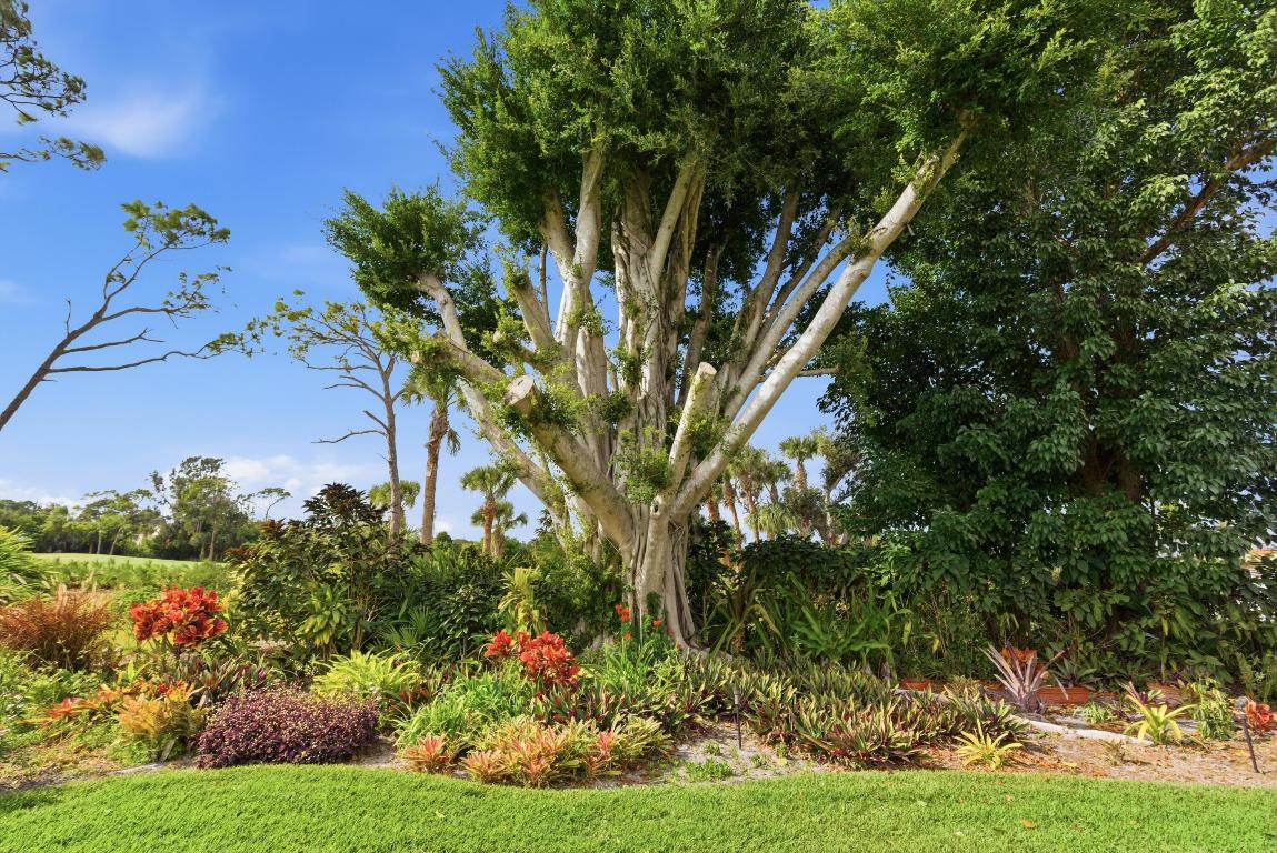 MARINER SANDS COUNTRY CLUB - Residential