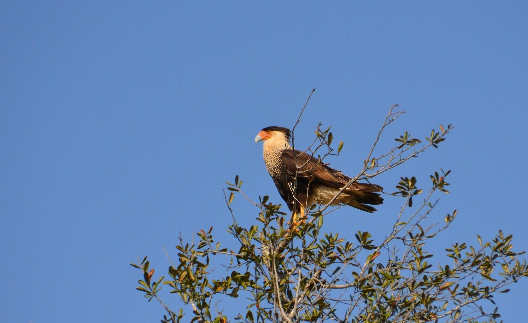 VERANO PUD NO. 1 PLAT NO. - Residential