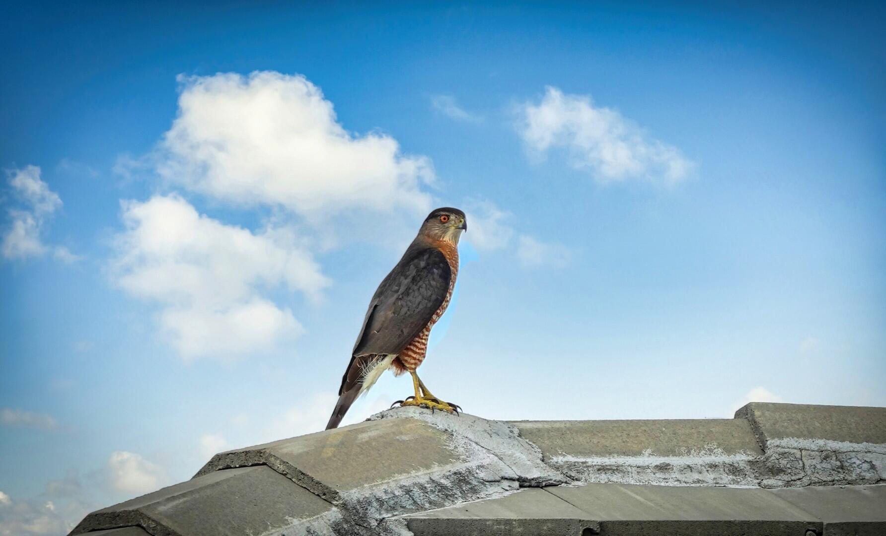 VERANO PUD NO. 1 PLAT NO. - Residential