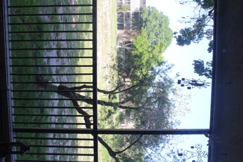 Tiny photo for 480 NW 76th Avenue #205, Margate, FL 33063 (MLS # B26035249)