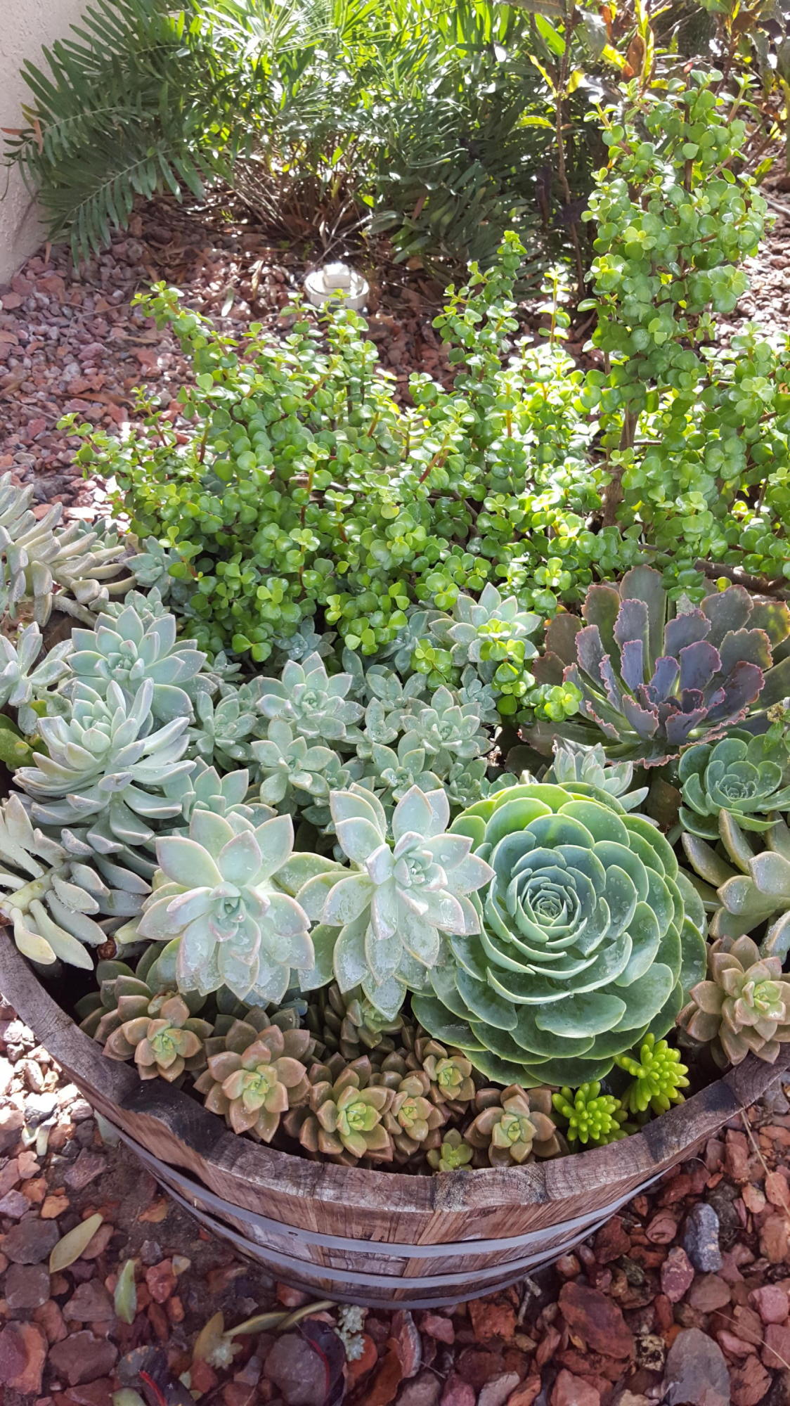 BOYNTON WATERS WEST 1 - Residential