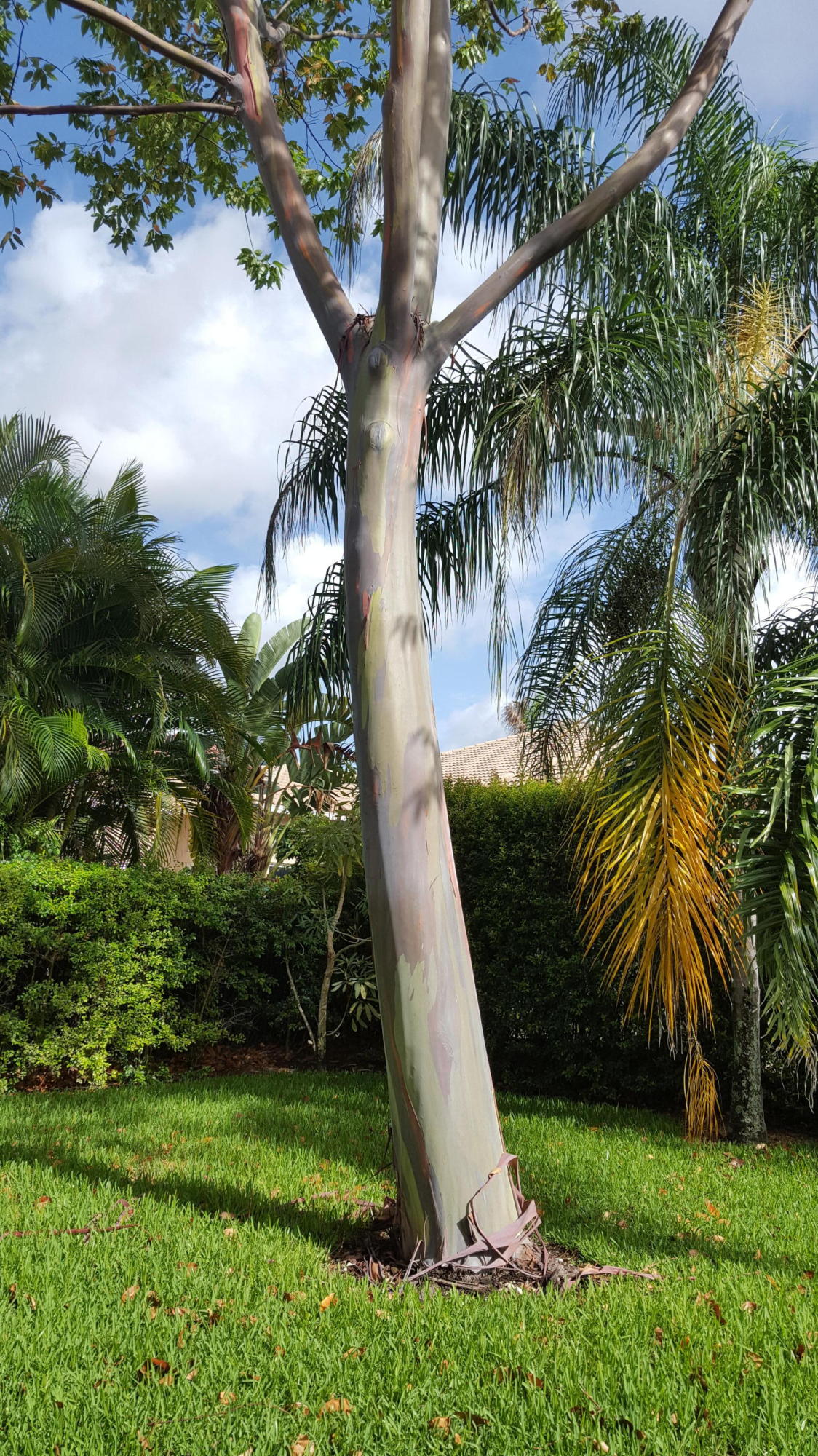 BOYNTON WATERS WEST 1 - Residential