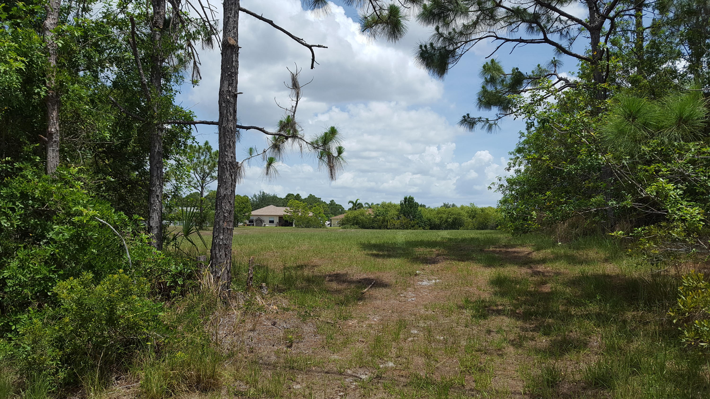 Must see Over sized lot in the Torino area that has a wide canal behind it and to the left of it. No one can build directly behind you. It is like being on a small preserve. Very little trees to be removed or left and just groomed and maintained.