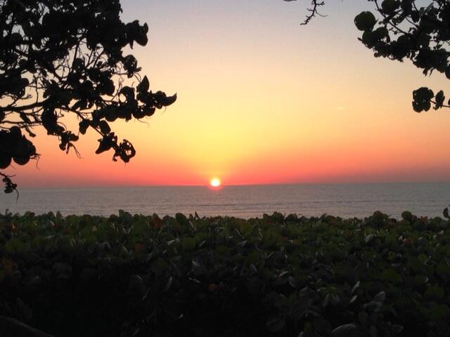 JUPITER OCEAN GRANDE 2 CONDO - Residential