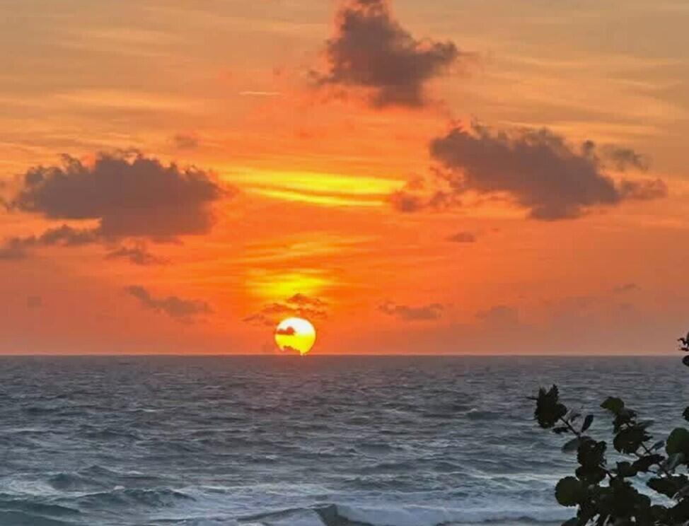 JUPITER OCEAN GRANDE 2 CONDO - Residential