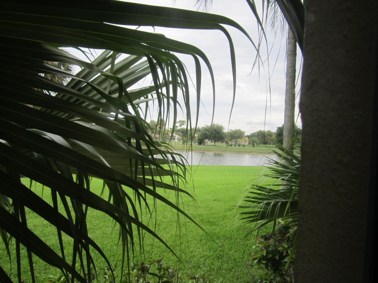 3310 Pinewalk Dr N 1812