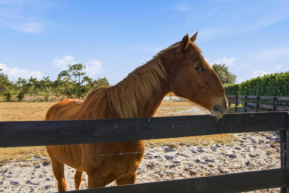 BARKDULL GARDENS - Residential