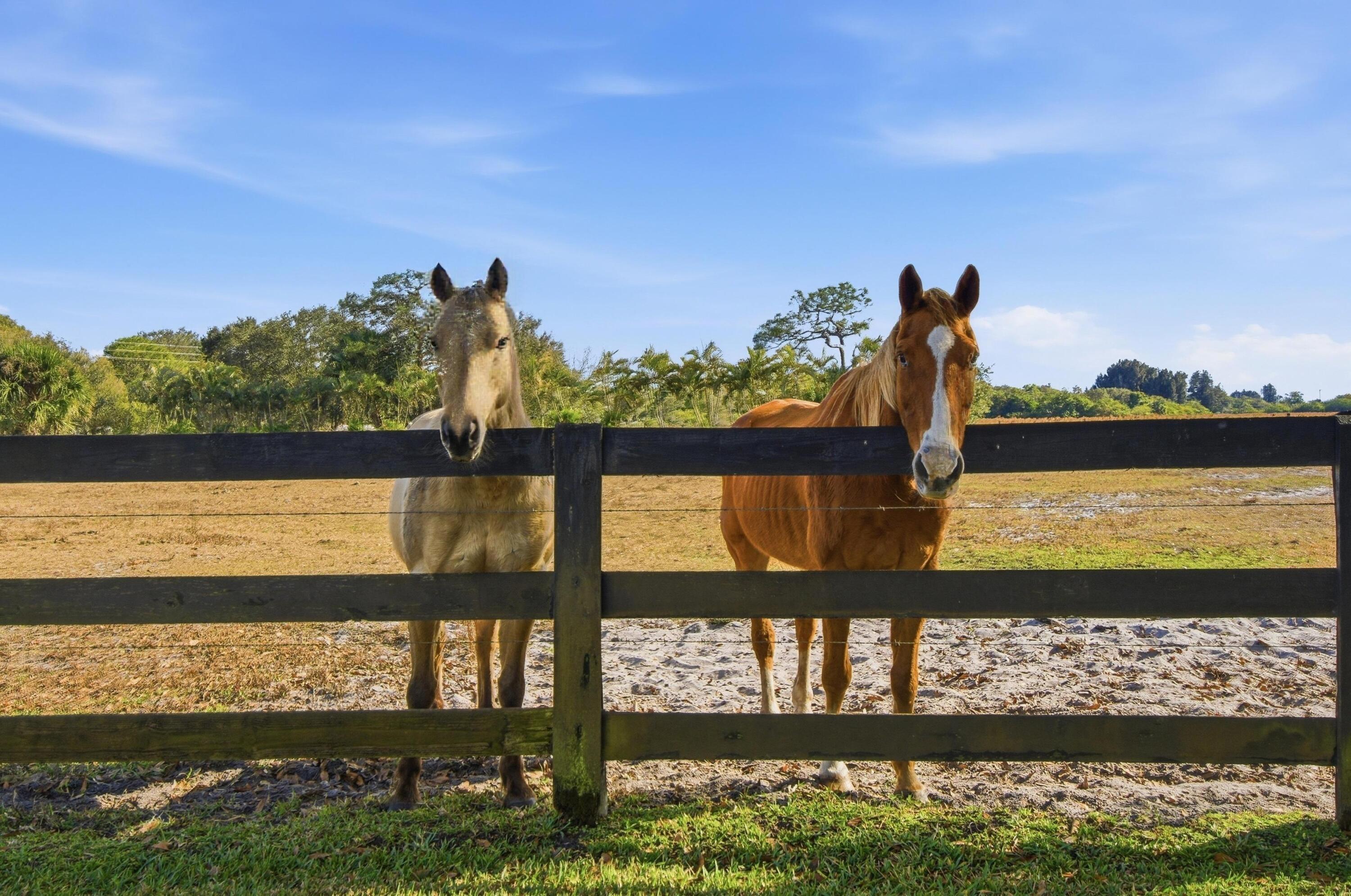 BARKDULL GARDENS - Residential
