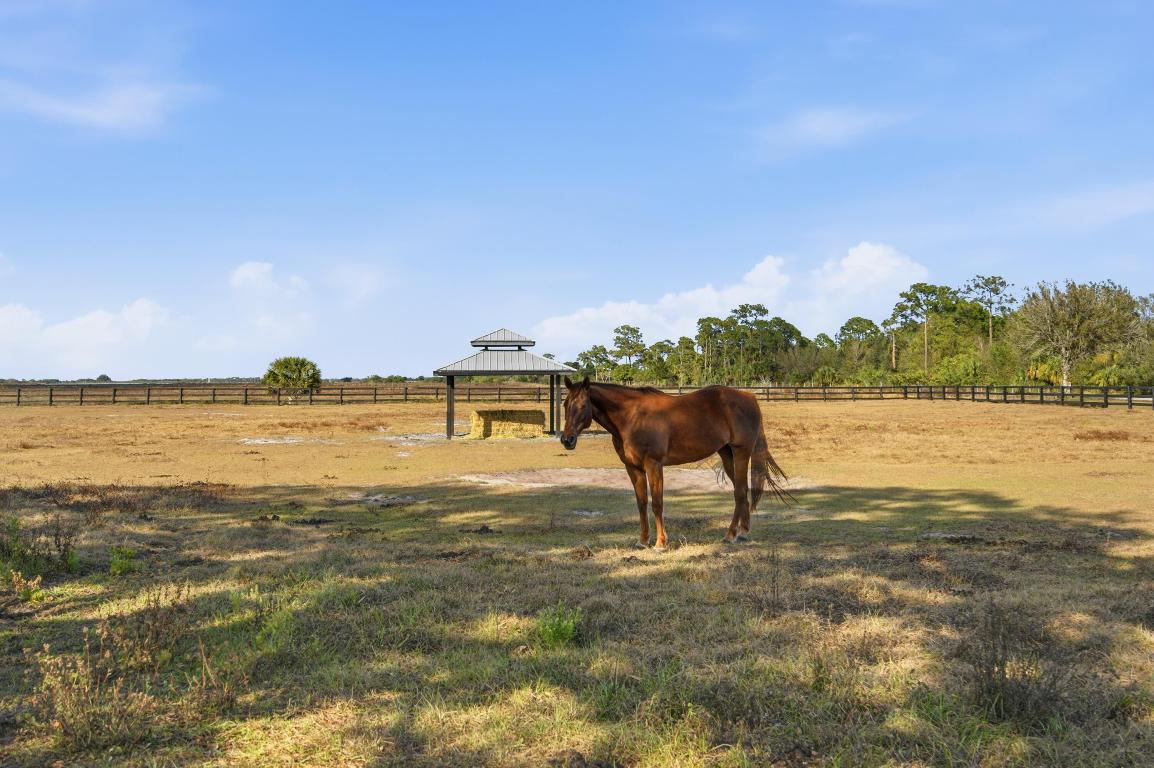 BARKDULL GARDENS - Residential