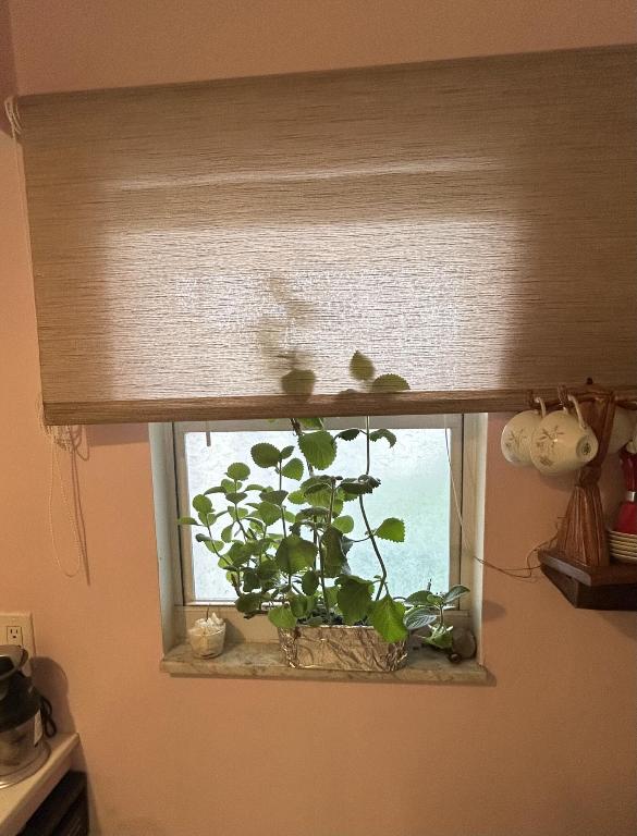 LAKESIDE VILLAGE CONDO - Residential