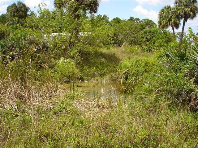 Photo of 15780 N 99th St Street N #15780, The Acreage, FL 33412 (MLS # B26040111)