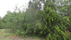 Build your dream home on this nice lot in a nice neighborhood located just minutes from the I95 and the turn pike entrances.