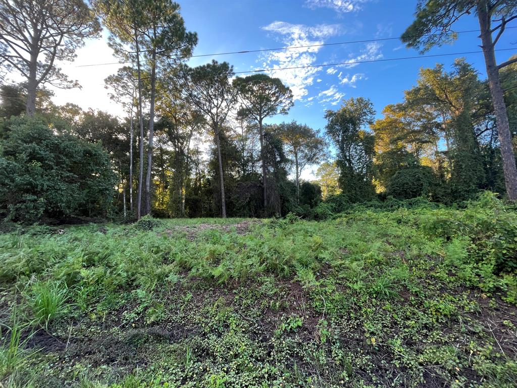 COUNTRY LIVING AT ITS BEST COME CHECK OUT THIS 1.03 ACRE BEAUTIFUL WOODED LOT LOCATED IN GEORGETOWN adjacent lot also available for sale by the same seller buy them both and have total of 2.06 acres for total privacy. Come enjoy St. J River Rod & Reel Club, Boat Ramp, Fishing Pier in Lake George. GO BOATING & FISHING ON RIVER & LAKE. GO SWIMMING IN BEAUTIFUL SALT SPRINGS SILVER GLEN SPRING!! OWNER FINANCING AVAILABLE