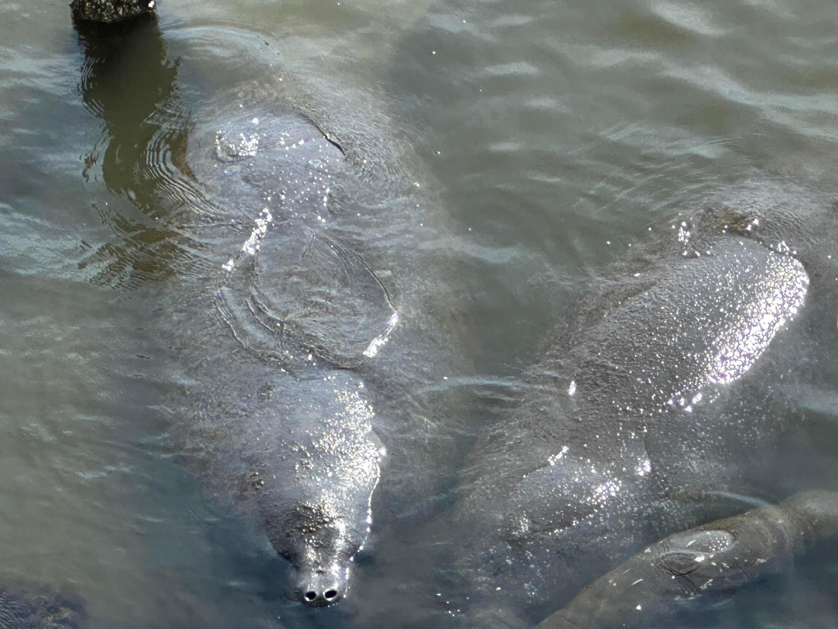 RIVER PALMS RIVERFRONT, A CONDOMINIUM - Residential