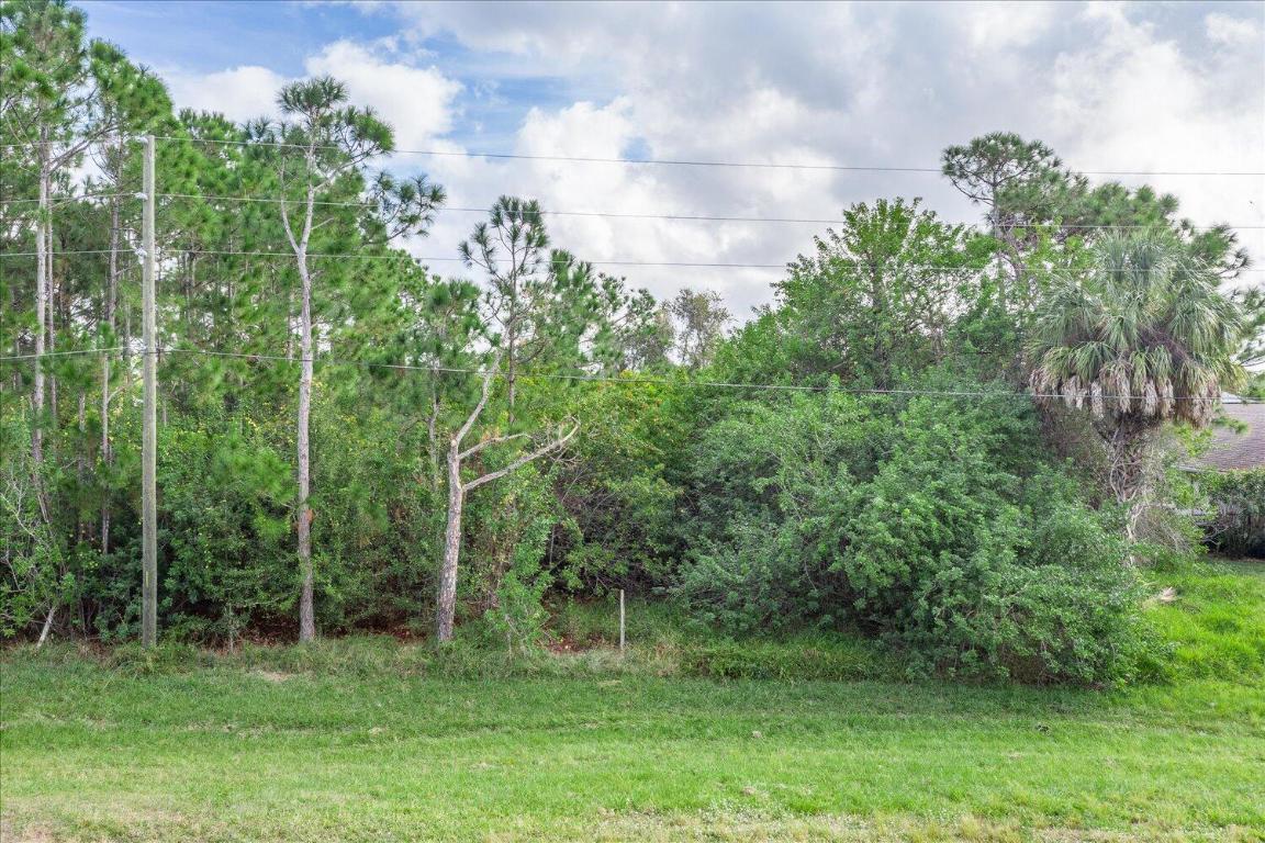 PLACID LAKES SEC 20 - Land