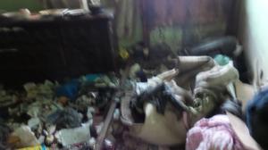 NORTH PALM BCH 2 - Residential