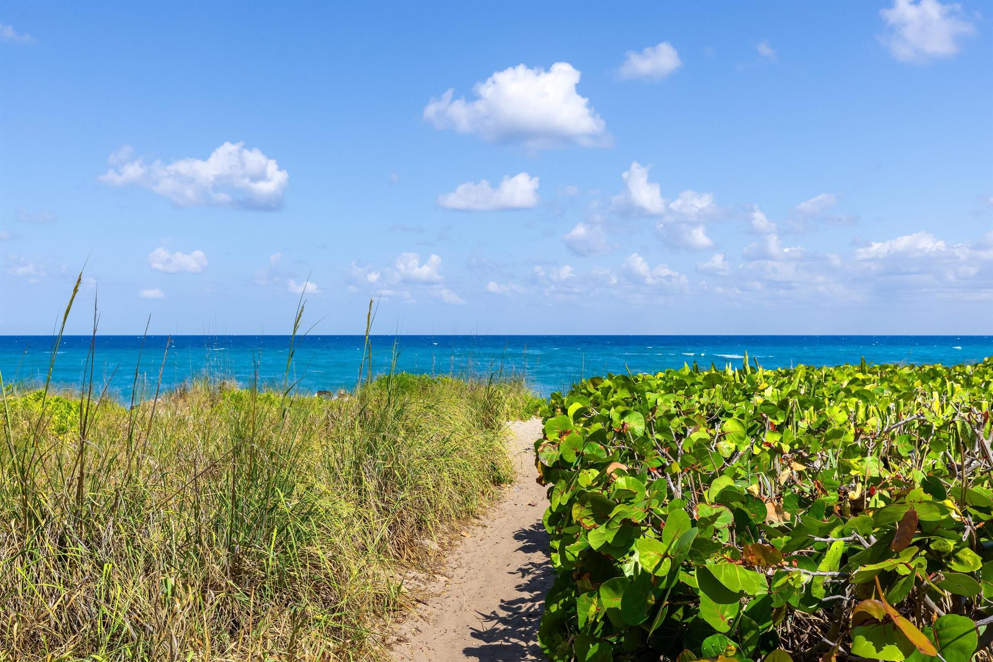 FLORAL PARK - Residential