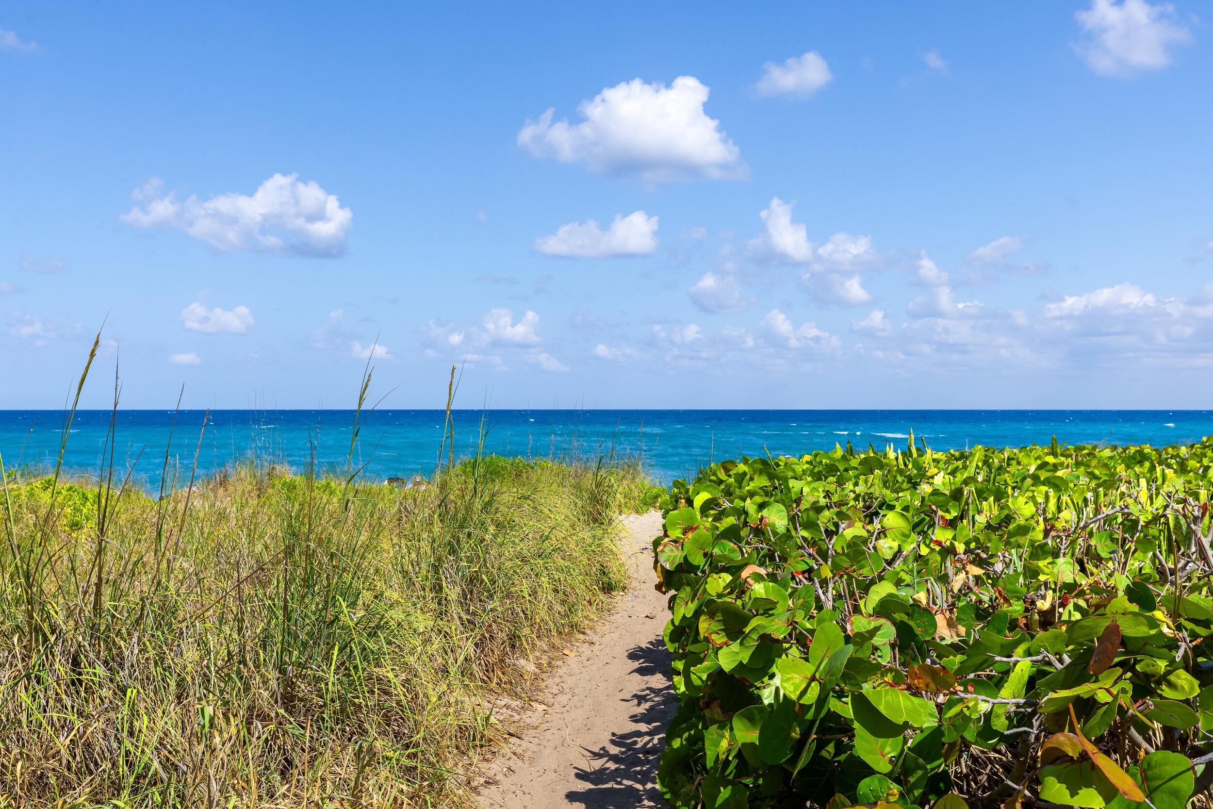 FLORAL PARK - Residential